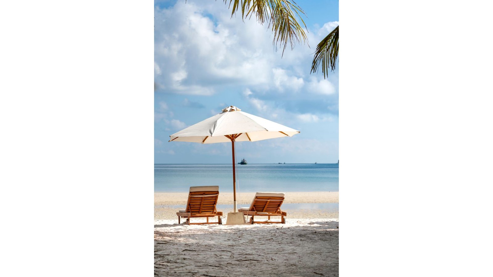 Familia viajando con nuestras ofertas